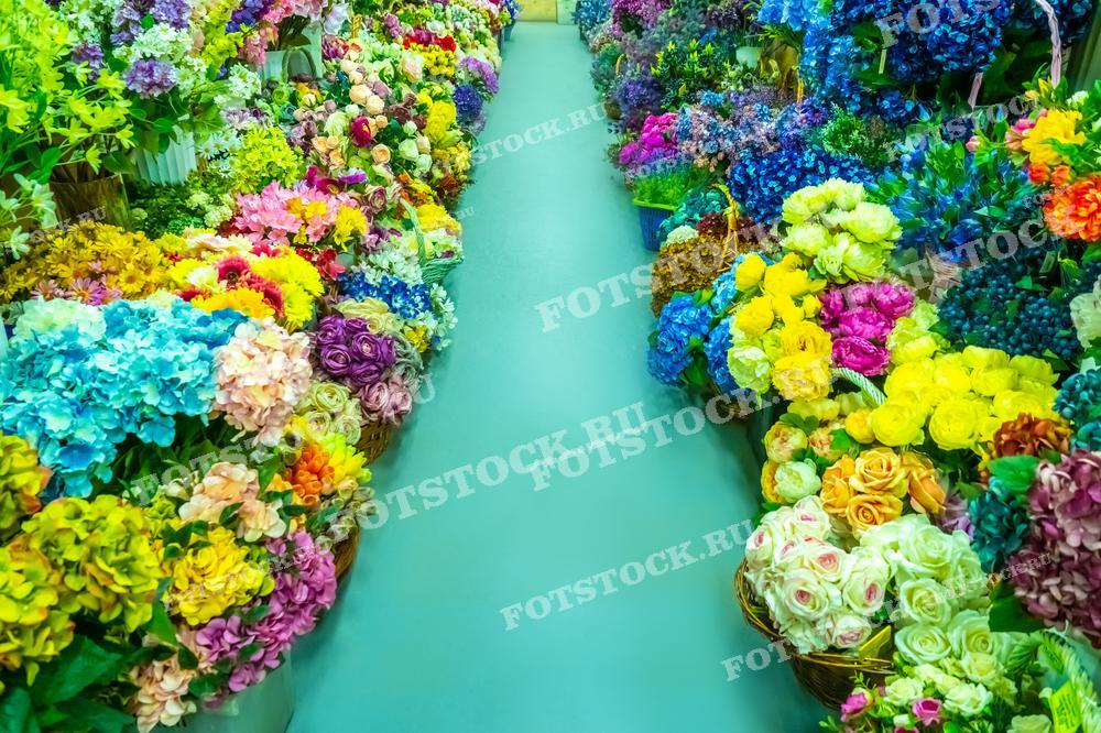 На фотографии изображен узкий проход между двумя рядами ярких цветов с магазине или на рынке. 
Изображение прекрасно подходит для иллюстрации статей о флористике, интерьерном декоре или для использования в качестве рекламных материалов цветочных магазинов.